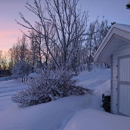 Cabin Magic On Senja, Atmosphere Like A Fairytale Botnhamn ภายนอก รูปภาพ