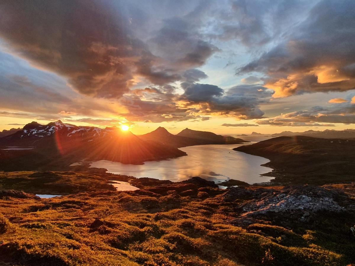 Cabin Magic On Senja, Atmosphere Like A Fairytale Botnhamn ภายนอก รูปภาพ