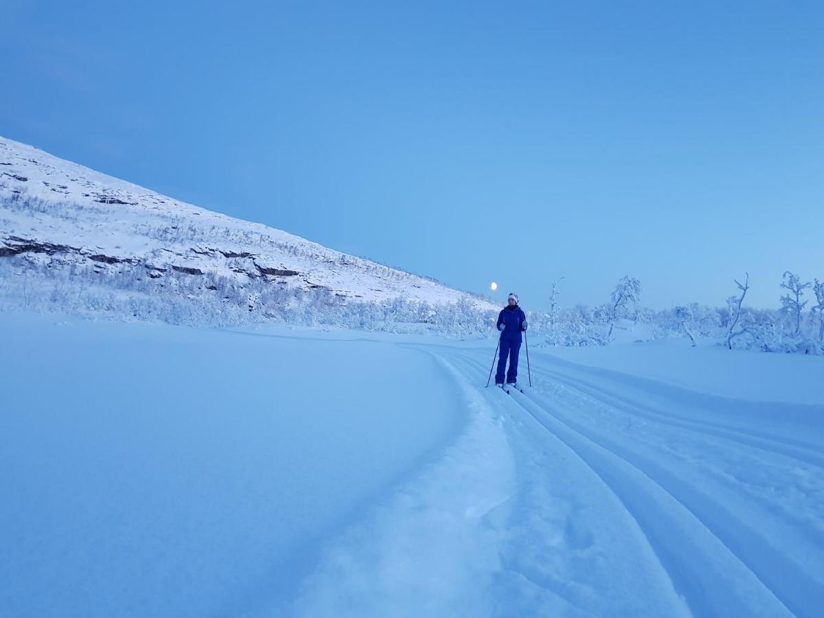 Cabin Magic On Senja, Atmosphere Like A Fairytale Botnhamn ภายนอก รูปภาพ