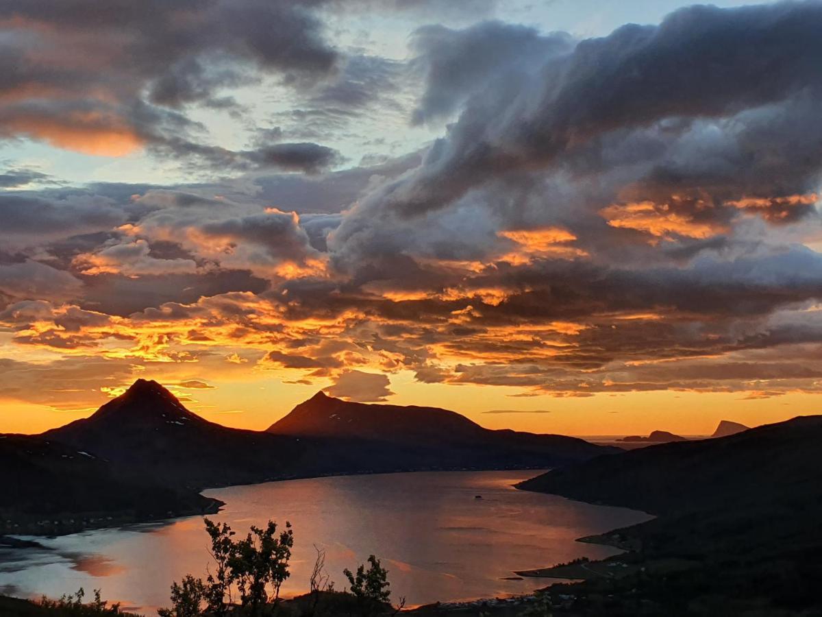 Cabin Magic On Senja, Atmosphere Like A Fairytale Botnhamn ภายนอก รูปภาพ