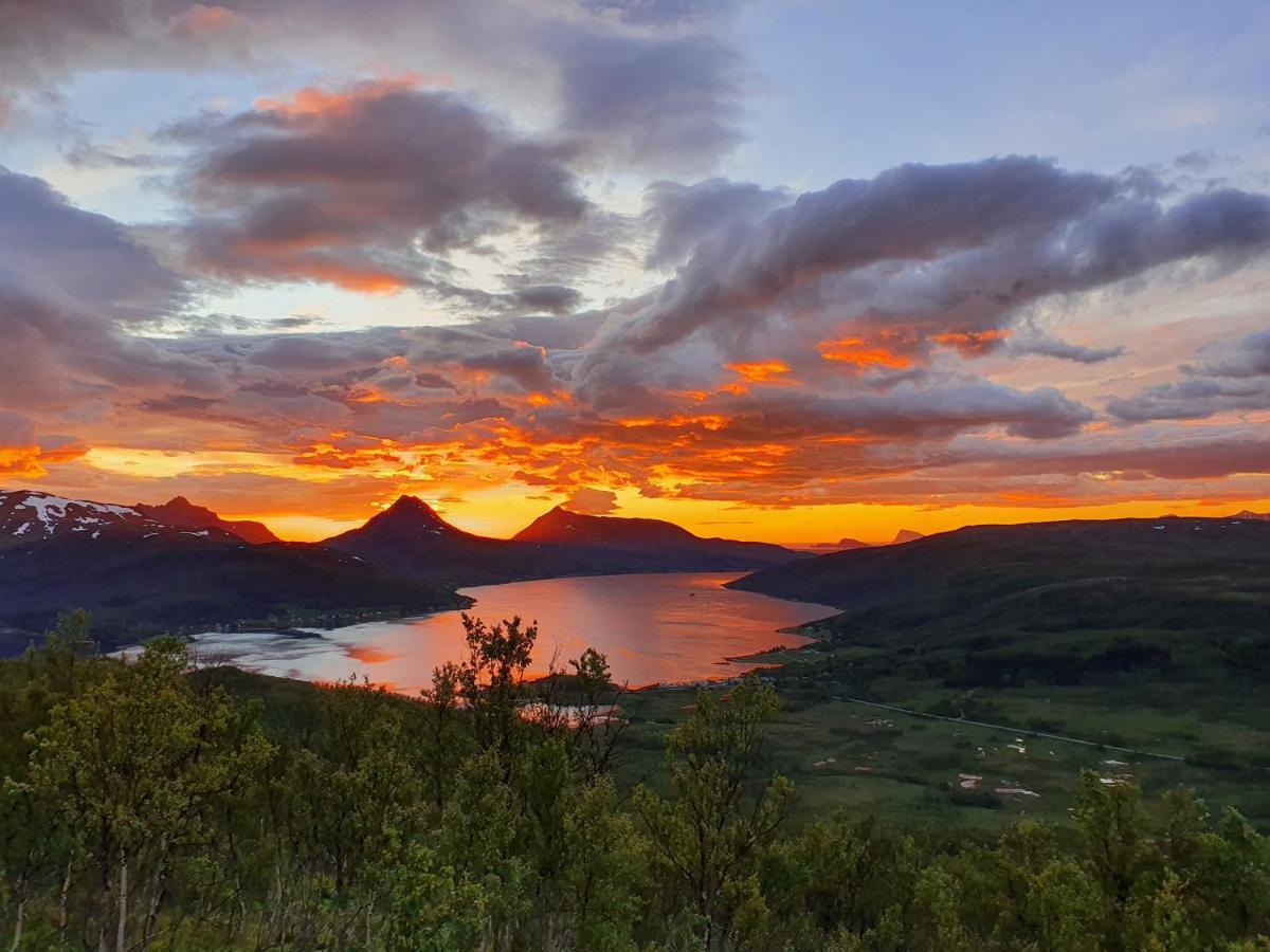 Cabin Magic On Senja, Atmosphere Like A Fairytale Botnhamn ภายนอก รูปภาพ