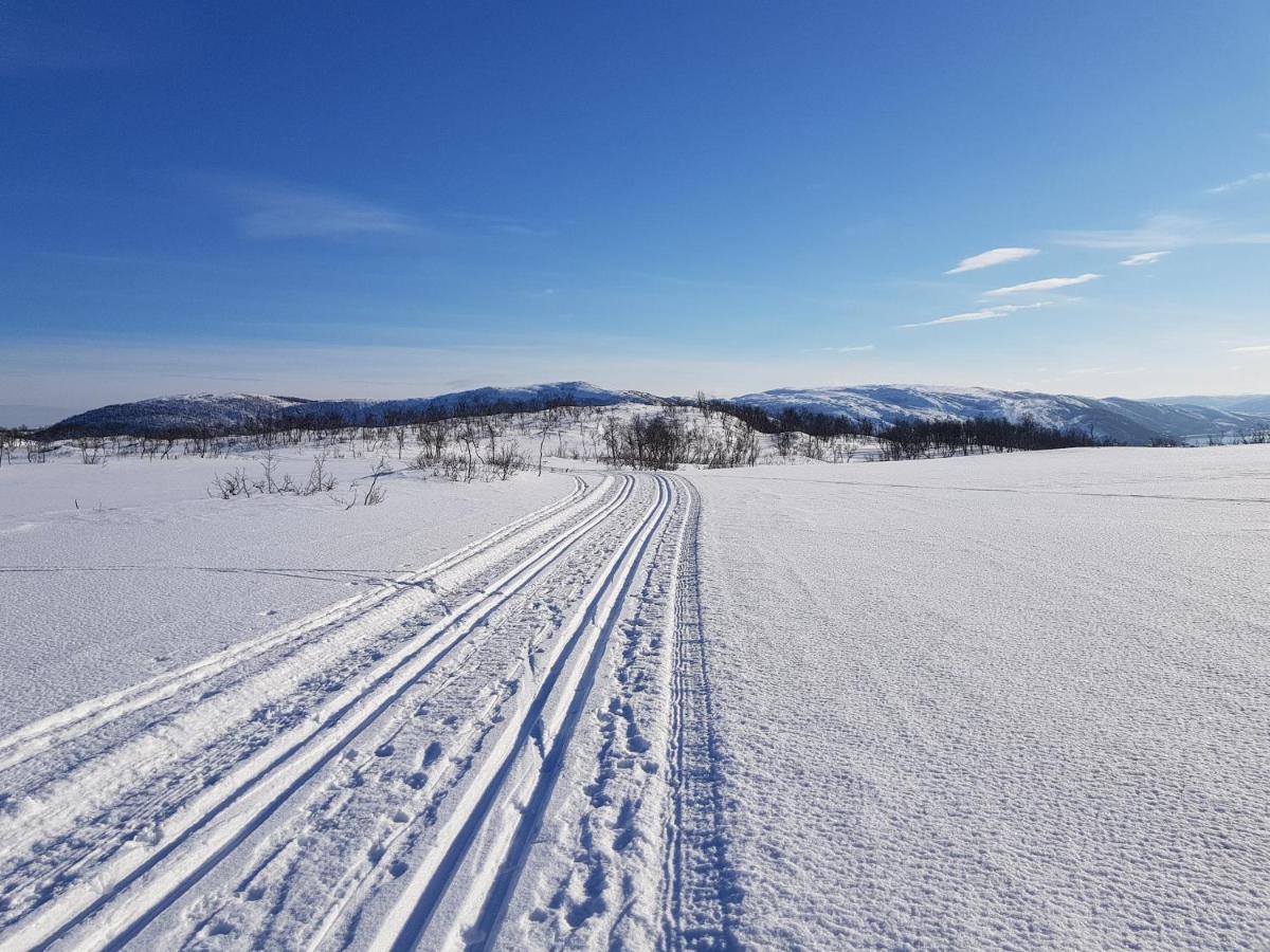 Cabin Magic On Senja, Atmosphere Like A Fairytale Botnhamn ภายนอก รูปภาพ