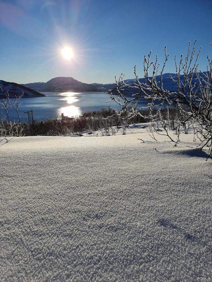 Cabin Magic On Senja, Atmosphere Like A Fairytale Botnhamn ภายนอก รูปภาพ
