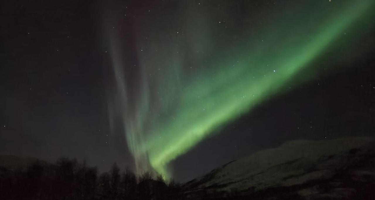 Cabin Magic On Senja, Atmosphere Like A Fairytale Botnhamn ภายนอก รูปภาพ