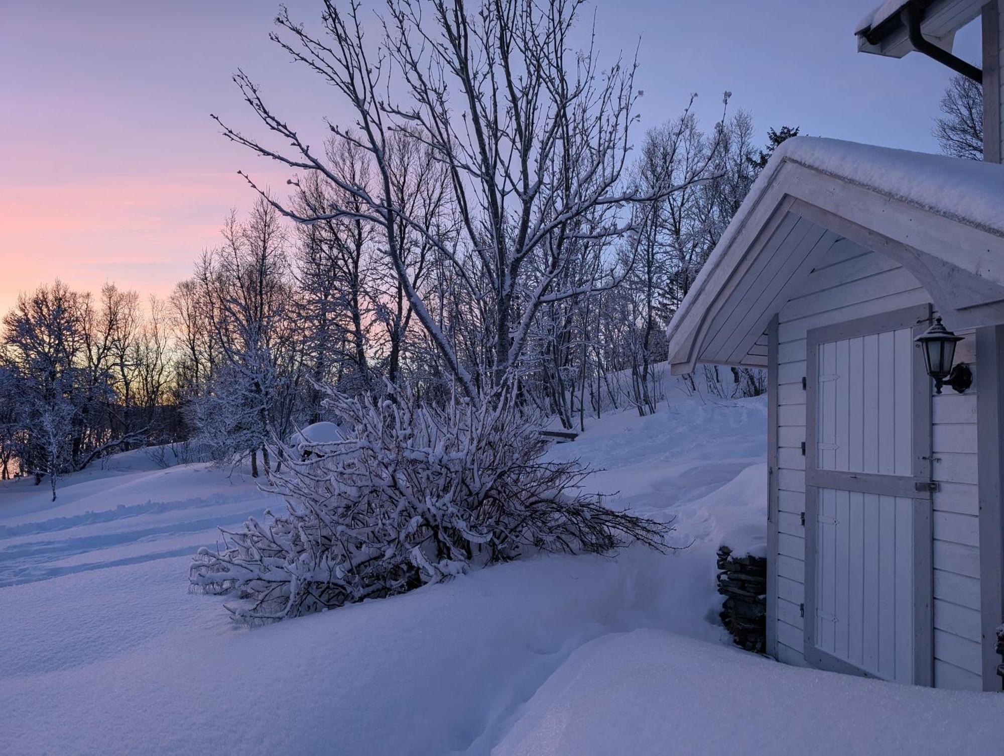 Cabin Magic On Senja, Atmosphere Like A Fairytale Botnhamn ภายนอก รูปภาพ